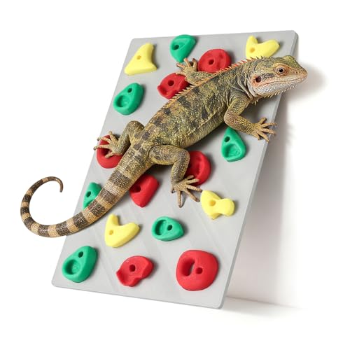 MITCHENIFY Reptile Climbing Wall, Bearded Dragon Accessories Toys | PLA Plastic, Simulating Natural Instincts, Habitat Enrichment Decor, Gift for Reptile Owners