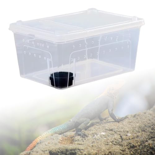 Reptile Breeding Case Feeding Box Terrarium Animal Transparent PP Container Easy Observation Suitable for Pet Hatching Transport Breeding, 38x24x17cm - size: 38x24x17cm