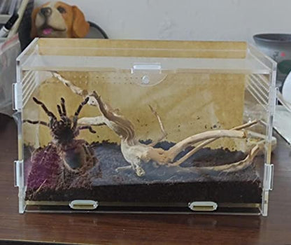 AWXZOM Magnetic Acrylic Case, micro habitat small Tarantula Enclosure enclosure for arboreal Tarantula Scorpion Sling Lizards Mantis Snake Gecko jumping spider snail Insect Isopods (7.8*4.7*4.7inch) - size: 7.8*4.7*4.7inch