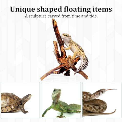 CZFSWT 2Pcs Driftwood for Aquarium, 3.93-5.9" Driftwood Decor, Drift Wood for Fishtank Suitable for Fish Tank Decorations and Reptile Habitats