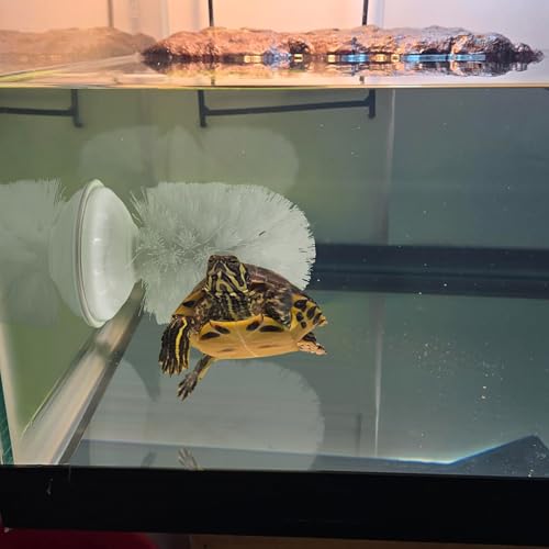Turtle Brush with Suction Cup, Aquatic Turtle Tank Accessories, Upgraded Powerful Suction Cup, Not Easy to Fall Off or Slide