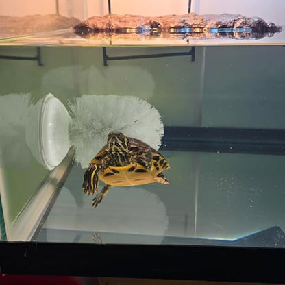 Turtle Brush with Suction Cup, Aquatic Turtle Tank Accessories, Upgraded Powerful Suction Cup, Not Easy to Fall Off or Slide