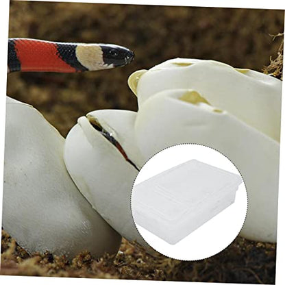DECHOUS 20grids Hatchery Box for Reptiles Professional Incubation Box Easy to Clean for Snakes Lizards Pets