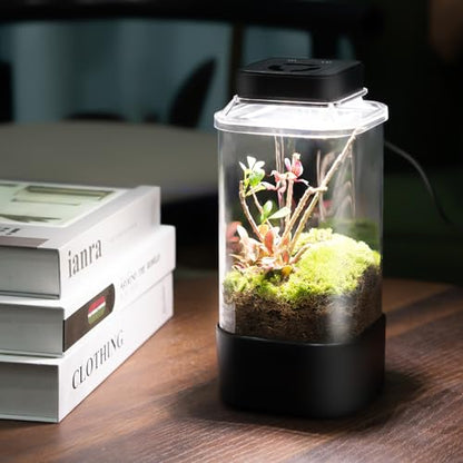 REPTI ZOO Insect Terrarium, 4" x 4" x 6" Insect Breeding Box with LED Lighting & Fan System, Glass Terrarium Tank for Spiders, Snail, Mantis and Small Reptiles