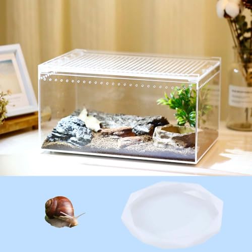 Snail Food and Water Bowl, Pet Snail Feeder, Small Reptile Food Dish Bowl Silicone Calcium Dish for Land Snails Lizard Gecko Bearded Dragon Chameleon and Hermit Crab (White, 2 Pcs)