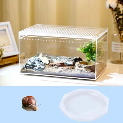 Snail Food and Water Bowl, Pet Snail Feeder, Small Reptile Food Dish Bowl Silicone Calcium Dish for Land Snails Lizard Gecko Bearded Dragon Chameleon and Hermit Crab (White, 2 Pcs)