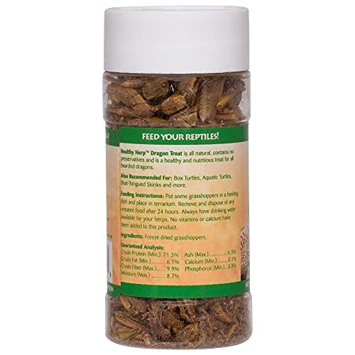 Healthy Herp Dragon Treat Grasshoppers - Nutritious Turtle Food 0.56oz(16g) | Bearded Dragon Tank Accessories - for Bearded Dragons, Box Turtles, Aquatic Turtles