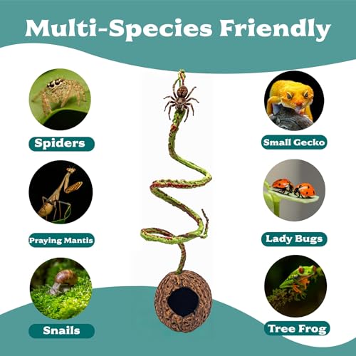 Resin Reptile Hide with Bendable Vine - Coconut Cave for Jumping Spiders, Tarantulas & Small Geckos - Terrarium Decor for Molting & Enrichment (3.4"x3.4"x7.9")