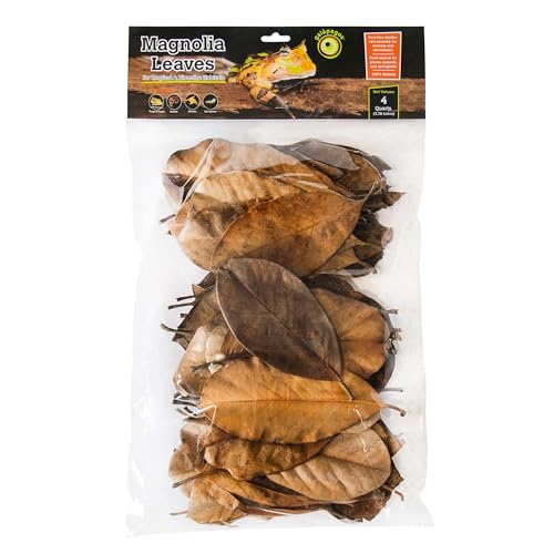 Galapagos (05150) Natural Magnolia Leaf Litter – Reptile Substrate for Bioactive Vivariums, Bearded Dragon, Gecko, and Snake Tank Accessories, 100% Natural Terrarium Décor, 4Qt