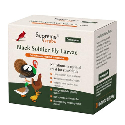 Natural Black Soldier Fly Larvae for Chickens, 85X More Calcium Than Mealworms-High Protein Grub Food Chicken Treats for Hens, Probiotic-Rich Chicken Feed, Calcium-Dense Bird Treat 5lb - size: 5 Pounds