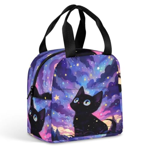 Starry Night Cat Lunch Bag for Women Men | Insulated Lunch Box Leakproof Food Meal Containers Reusable Foldable 6L Capacity Lunch Tote Bags for Work Picnic Travel - color: style-16