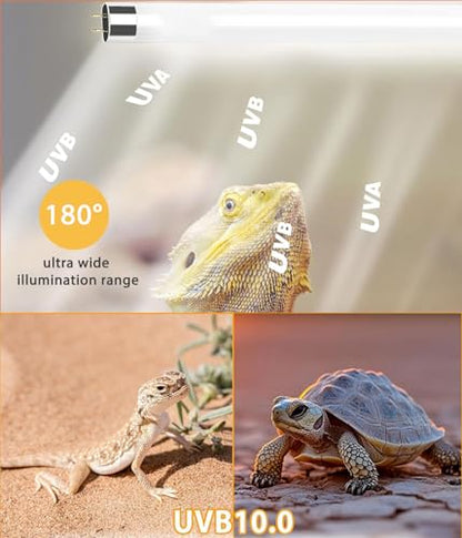 12 Inch T5 Reptile UVB Light Tube 8W 10.0 UVA UVB Reptile Bulb Tropical Desert Habitat Lighting for Bearded Dragon Chameleon Lizard Turtle Tortoise, 1 Pack - size: 10.0 UVB 1-Pack