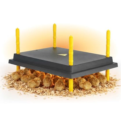Hatching Time Warmzy 16"x22" Chick Heating Plate – Safe 40W Chicken Coop Heater for 50–55 Chicks with Adjustable Legs | Gentle Low-Heat Brooder Plate for Chicks, Durable Fire-Resistant Chicken Heater - size: 16" x 22" for 50–55 Chicks