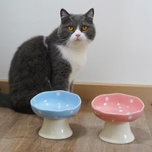 Pink Mushroom Cat Bowl, Elevated Ceramic Feeding Bowl | Elevated, Ceramic, Tilted Design, Whisker-Friendly, Dishwasher Safe, cute - color: Pink
