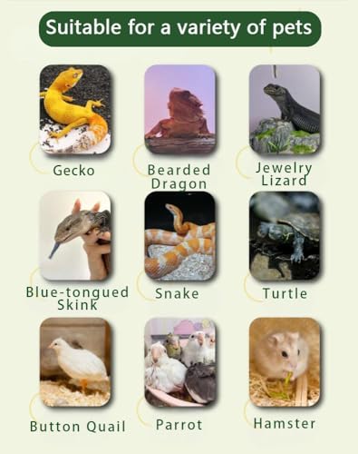 60 * 40CM Smart Dual Thermostat Reptile Terrarium, Acrylic Sliding Door Reptile Enclosure with Ceramic Lamp Socket for Heating Light Control, Ideal Breeding Habitat with Safe Heating System - size: 60*40*40CM / 23.6*15.7*15.7 IN
