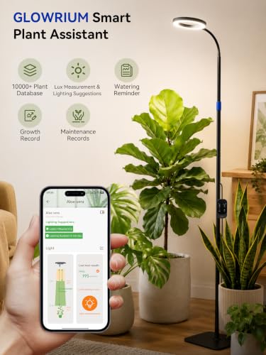GLOWRIUM Smart Grow Lights for Indoor Plants, Full Spectrum LED Floor Light | 54"-67" Telescopic Adjustable Height Grow Light with App & Manual Control, 1%-100% Dimming,3/9/12h Timer for Tall Houseplants - color: Black-smart Single Head