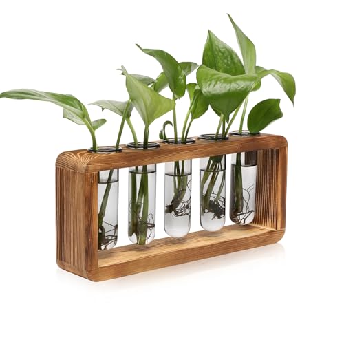 Glass Plant Propagation Station with 5 Test Tubes Colorful Planter Vase | Birthday Gifts for Women in Wooden Stand - color: Gray