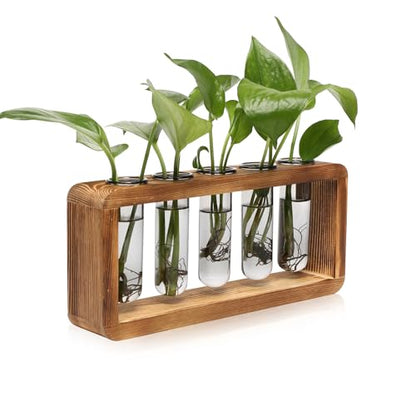 Glass Plant Propagation Station with 5 Test Tubes Colorful Planter Vase | Birthday Gifts for Women in Wooden Stand - color: Gray
