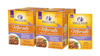Wellness Healthy Indulgence Morsels Adult Wet Cat Food, Natural, Protein Rich, Grain Free, Chicken Recipe, 3 oz, Pack of 24 Pouches