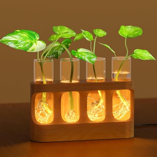 Plant Propagation Station with Wooden Stand, Gardening Gifts for Plant Lovers, 9-Level Dimmable LED Light 4 Glass Test Tubes Vases for Hydroponic Plants - Desktop Terrarium for Home Decor