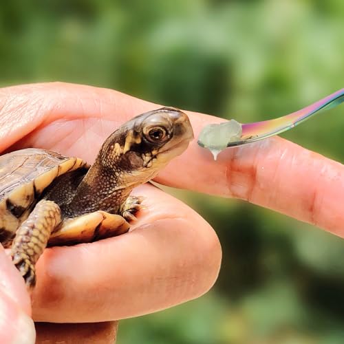 Abeillo 2Pcs Crested Gecko Food Spoons, 8.9" Long Handle Stainless Steel Reptile Spoon, Fruit Mixing Stirring Food Feeding Spoon for Gargoyle Bearded Dragon