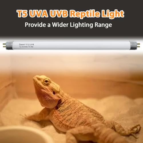 Celiwace T5 10.0 UVB Reptile Light Bulb 8W 12 Inch, Desert Reptile UVB Bulb 8 Watt for Lizards, Bearded Dragons, Chameleons, Turtles, Tortoises 3 Pack - size: 8W Light Bulbs (3 Pack)