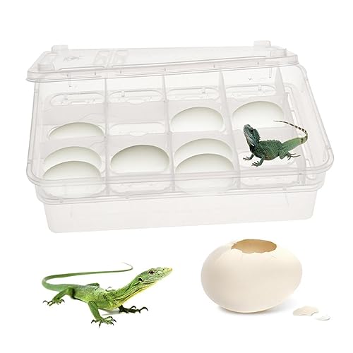 BESPORTBLE Compartments Hatching Box Incubator for Snakes Turtles Geckos and Lizards Easy Observation Breeding Isolation Container for Reptiles