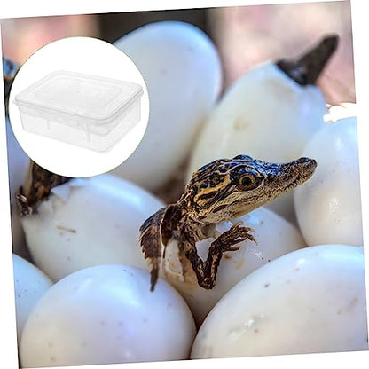 ibasenice Reptile Egg Incubator Box Transparent Hatchery Case for Snakes Lizards and Turtles Easy to Manage and Clean Breeding Tool for Reptile Eggs with Temperature Gauge