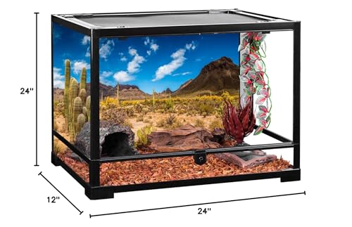 24x12 in Reptile Habitat Background Blue Sky Cactus Desert Tank Backdrop | AWERT Desert Oasis Terrarium Background, Vinyl - size: 24x12in/60x30cm