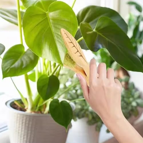 Leaf Cleaning Tongs, House Plant Leaf Cleaning Tongs,Leaf Cleaning Tools With Removable (1PC) - color: 1pc