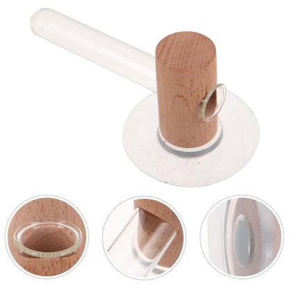 Plant Propagation Station with Wooden Stand and Glass Tubes for Hydroponic Plants, Wall Hanging Terrarium Planter with Nail-Free Mounting System, Japanese Inspired Modern Decor