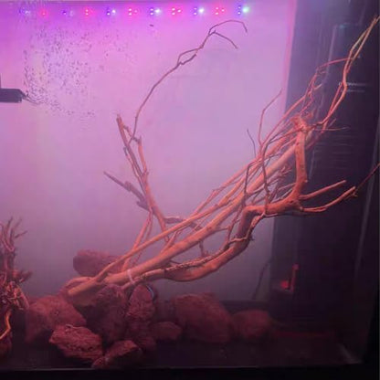 Natural Aquarium Driftwood, [170g] ( 20–40 cm /8–16 in) - Unique Root/Spider Wood Branches for Aquascaping, Planted Tanks & Terrariums, Fish & Plants Decoration Each Piece One-of-a-Kind(Branches Only) - style: Branches Only