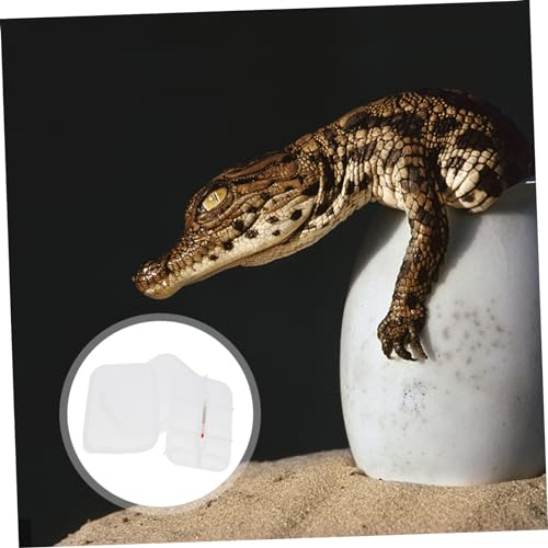 Sosoport Reptile Breeding Box Gecko Lizard Incubator Incubator Durable Construction