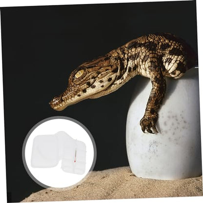 Sosoport Reptile Breeding Box Gecko Lizard Incubator Incubator Durable Construction