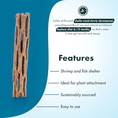 Natural Cholla Wood - Driftwood for Aquariums, Air Plant Base, Hermit Crab and Freshwater Shrimp Hideout, Fish Tank Decoration, Chinchilla Chews, Reptile Habitat Wood - 4 Inch, 3pc - size: 4 Inch (Pack of 3)
