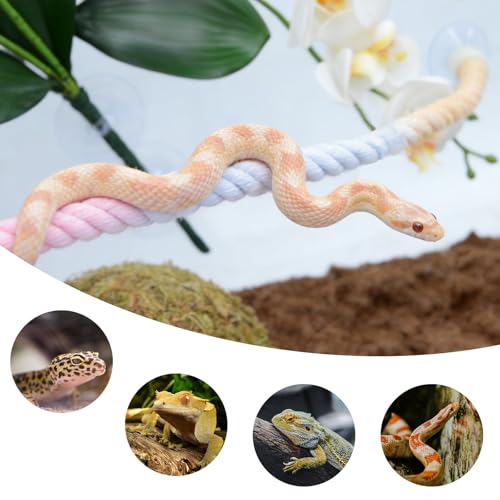 Snake Enrichment, Ball Python Tank Accessories, Gradient Climbing Decoration Rope with Suction Cups, Snake Climbing Accessories, Ball Python Enrichment - size: 40cm