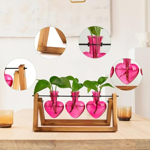 XXXFLOWER Plant Terrarium Propagation Stations 3 Heart Shaped Vases | Unique Terrarium Jar Gifts for Women Wife Mom Plant Lovers, Hydroponics, Home Garden Office Decor - size: 3 Heart Vase