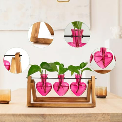 XXXFLOWER Plant Terrarium Propagation Stations 3 Heart Shaped Vases | Unique Terrarium Jar Gifts for Women Wife Mom Plant Lovers, Hydroponics, Home Garden Office Decor - size: 3 Heart Vase