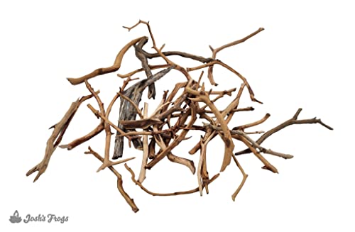 Josh's Frogs Manzanita Wood (Twig) - size: Twig