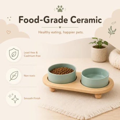 Havniva Raised Cat Bowl 5.1” Elevated Ceramic Cat Food and Water Bowl Set | Cat Bowls Elevated, Whisker Friendly Cat Bowl, Non-Slip Wood Stand, Food-Grade Ceramic, Wide Opening, Dishwasher Safe - color: Light Green, size: 2 Bowls+Tray - 5.1"