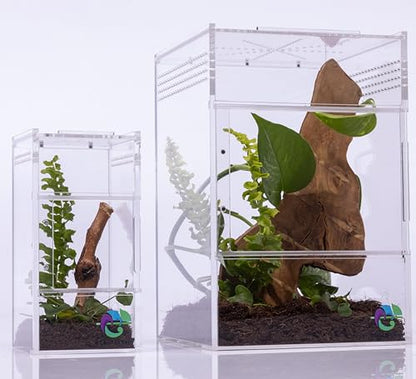EctoTherm Jumping Spider Enclosure Kit - size: Small/Medium
