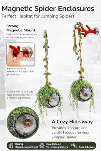 5Pcs Jumping Spider Enclosure Accessories with Hammock, Magnetic Climbing Rope, Resting Ledge Platforms and Feeding Dish Bowl & Hook for Terrarium Habitat (Two Hammocks) - color: Two Hammocks