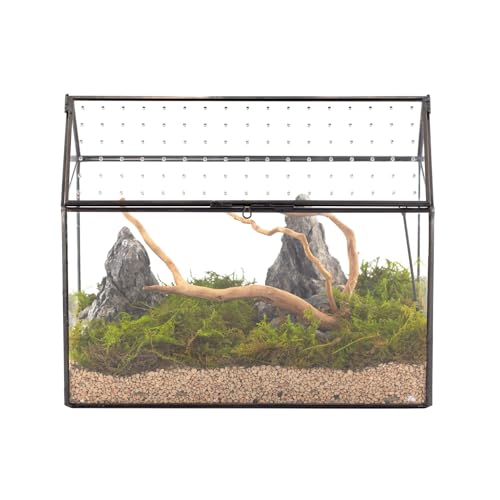 NCYP Glass Terrarium with Acrylic Lid, 10.2x5.9x8.2 Inches House Shape Glass Terrarium for Snails, Indoor Tabletop Decor, Handmade (Plants Not Included)