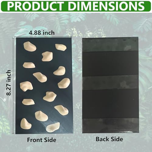 Rock Climbing Wall for Bearded Dragons Climbing Rock Wall Grips for Bearded Dragons Tank Accessories Reptiles Toy (Beige) - color: Beige