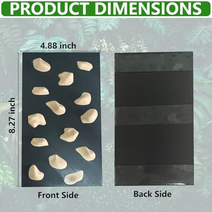 Rock Climbing Wall for Bearded Dragons Climbing Rock Wall Grips for Bearded Dragons Tank Accessories Reptiles Toy (Beige) - color: Beige