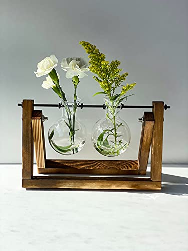 Kingbuy Glass Desktop Planter with Retro Wooden Stand, 2 Bulbs | Plant Terrarium Vase, Indoor Office Desk Decor, Accessories - size: 2 Bulb Vase
