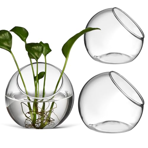 Mipcase 3 Pack Slanted Glass Terrarium Set - Clear Bubble Planter Globe for Air Plants, Succulents, & Moss - Miniature Desktop Decor for Home & Office, DIY Indoor Garden Propagation Station (3 Sizes) | Clear glass, 3 sizes, hydroponic rooting, air plants