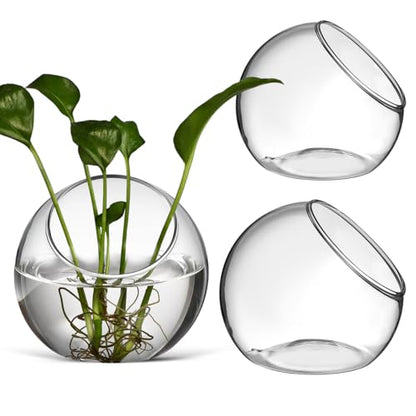 Mipcase 3 Pack Slanted Glass Terrarium Set - Clear Bubble Planter Globe for Air Plants, Succulents, & Moss - Miniature Desktop Decor for Home & Office, DIY Indoor Garden Propagation Station (3 Sizes) | Clear glass, 3 sizes, hydroponic rooting, air plants