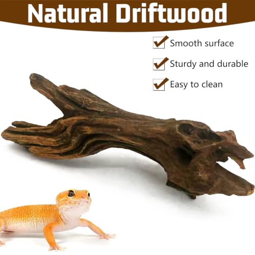 Hamiledyi Reptile Wood Branches 16" Length Snake Climbing Branch Lizard Habitat Natural Wood Decoration Bearded Dragon Climbing Accessories for Leapord Gecko