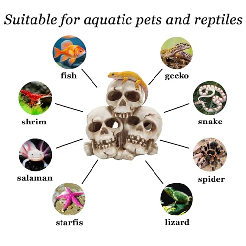 Resin Skull Aquarium Ornament, Hide Cave for Fish & Reptile Tank | Hide house for betta fish and reptiles to play, spacious resting cave, Halloween decor for aquarium and reptile tank